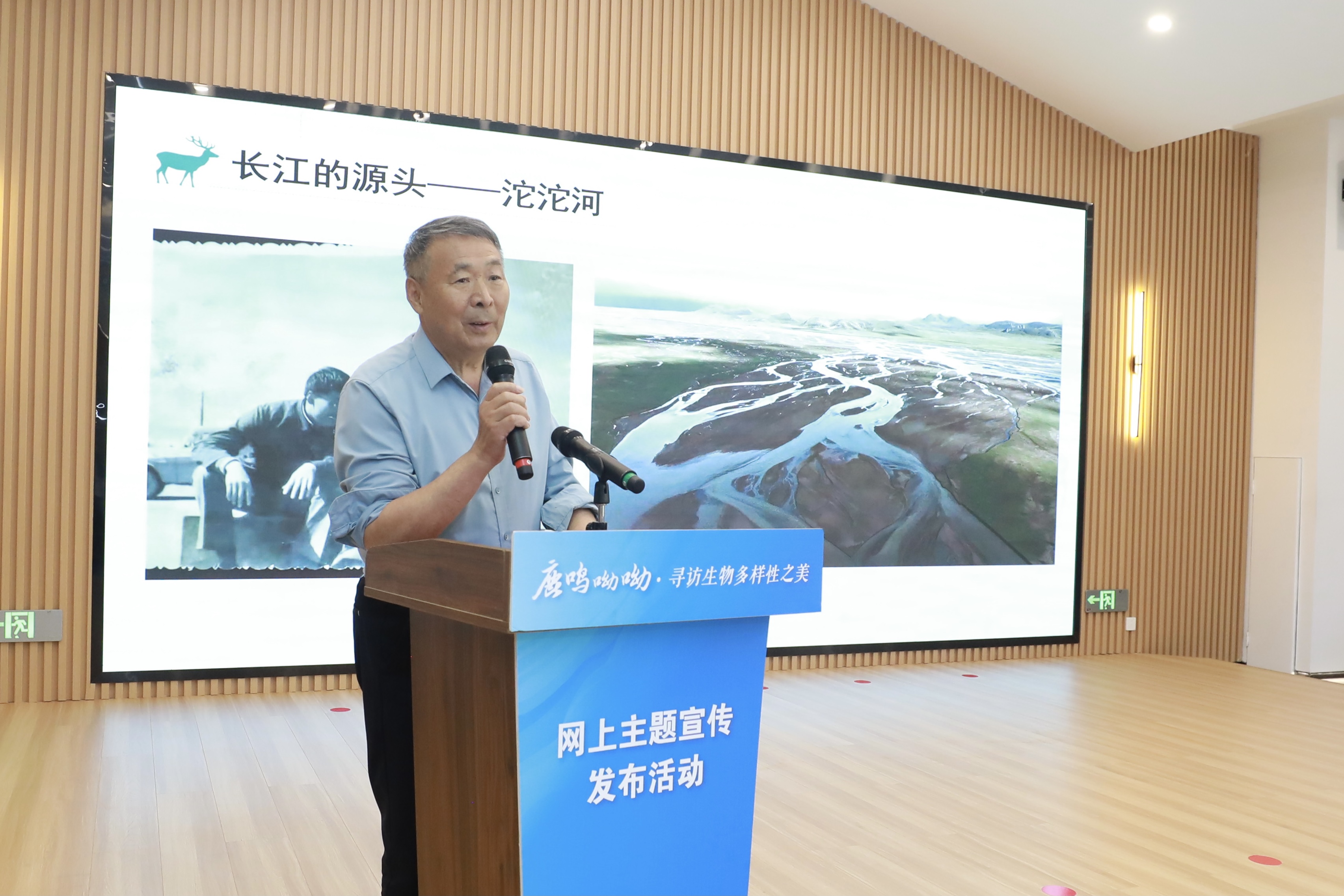 摄影：万成
