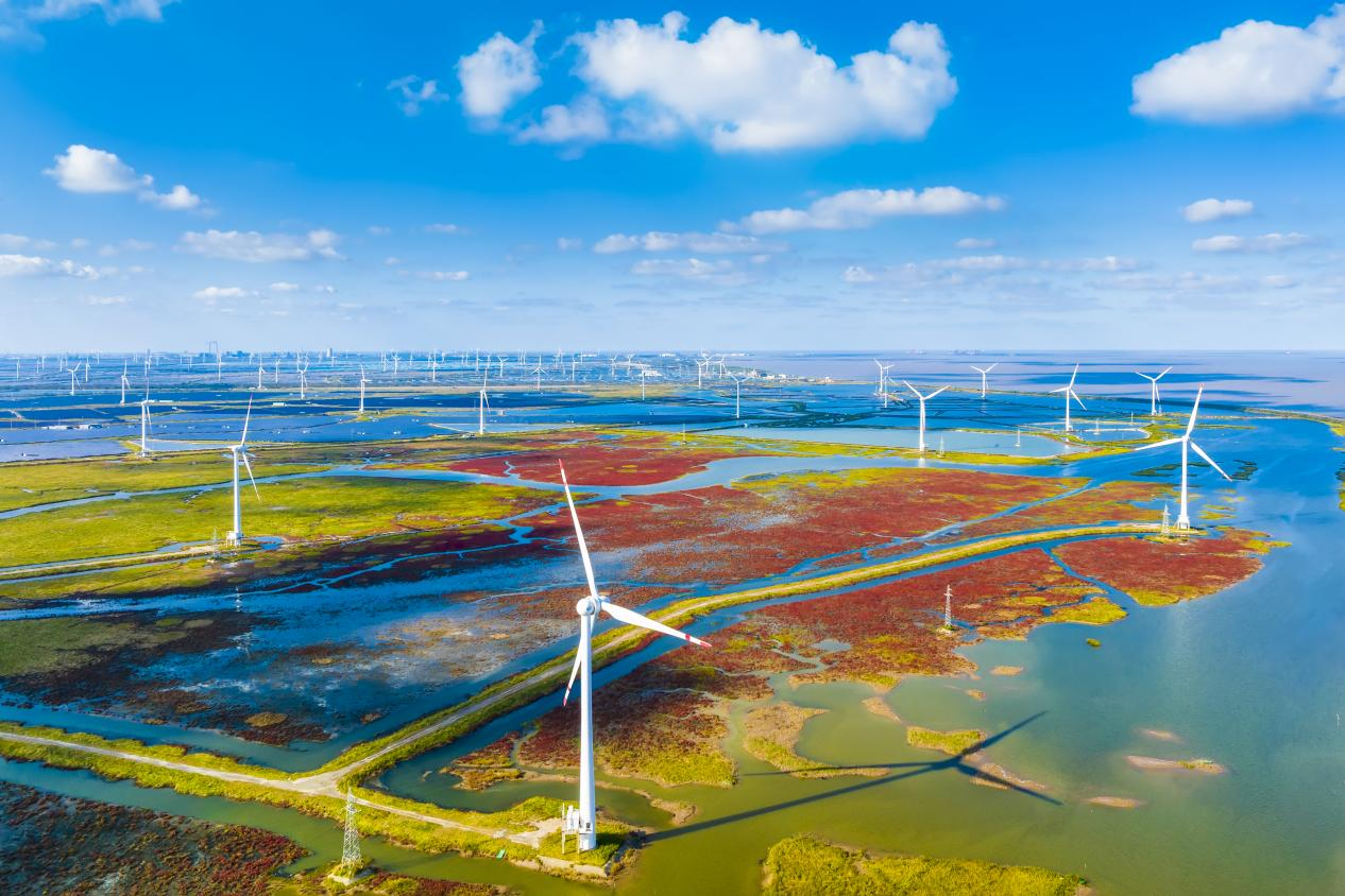 盐城滨海湿地上的风力发电机组。孙华金摄